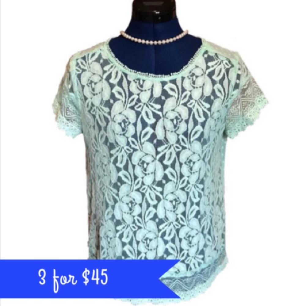 The Limited Sheer Embroidered Lace Blouse
